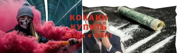 стаф Бугульма