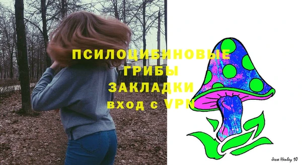 стаф Бугульма