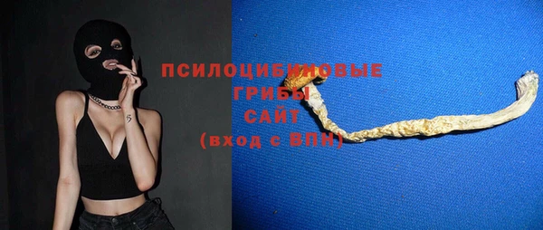 стаф Верея