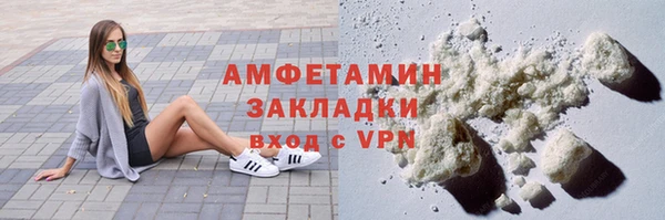 молекула духа Бородино