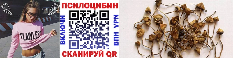 Купить Артёмовск Галлюциногенные грибы мухоморы